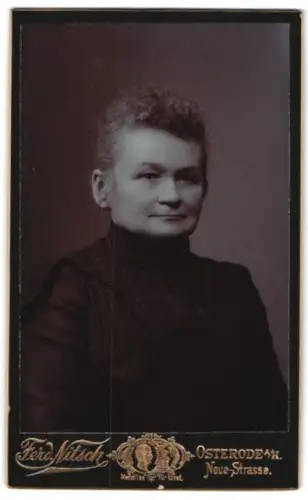 Fotografie Ferd. Nitsch, Osterode am Harz, Neue Strasse, Portrait einer Dame