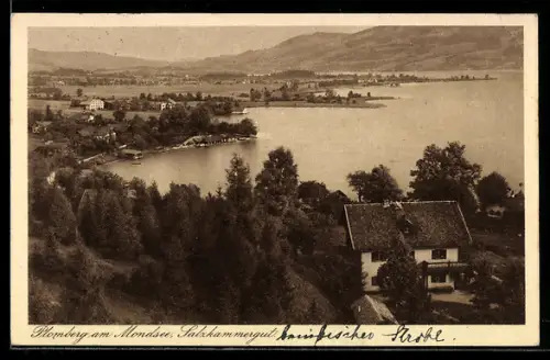 AK Plomberg am Mondsee, Panorama mit See und Ort