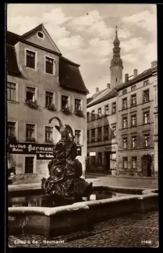 AK Zittau, Brunnen am Neumarkt, Neustadt, Ecke Schulstrasse