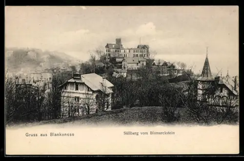 AK Hamburg-Blankenese, Süllberg vom Bismarckstein aus gesehen
