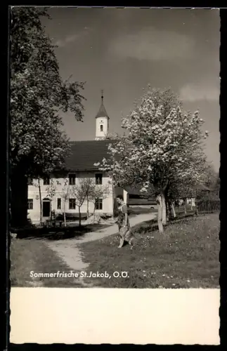 AK St. Jakob /O.-Ö., Ortspartie