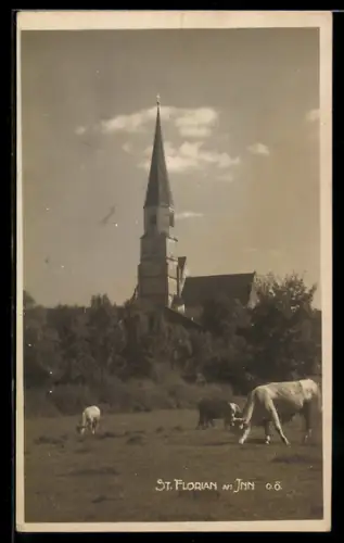 AK St. Florian am Inn, Kirche mit weidenden Kühen