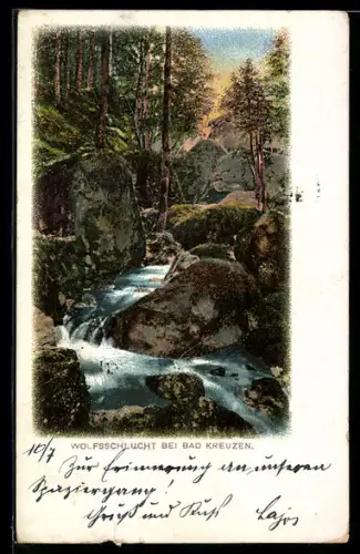 Künstler-AK Bad Kreuzen, Wolfsschlucht