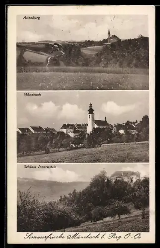 AK Münzbach bei Perg, Teilansicht, Altenburg, Schloss Innerstein