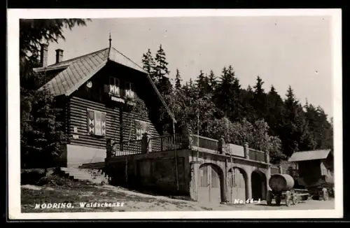 AK Horn /N.-Oe., Mödring, Gasthaus Waldschänke