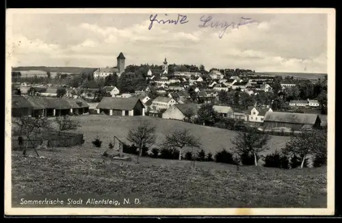 AK Allentsteig /N.-D., Ortsansicht vom Hügel aus