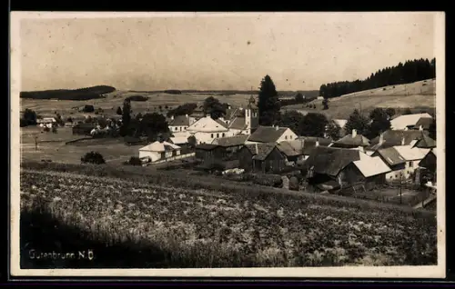 AK Gutenbrunn /N.-Ö., Ortsansicht vom Feld aus