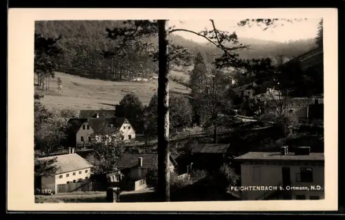 AK Feichtenbach b. Ortmann, Ortspartie