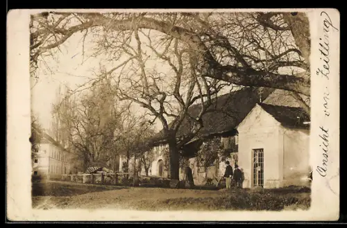 Foto-AK Perg /O.-Oe., Zeitling, Strasse mit alten Häusern und Bäumen
