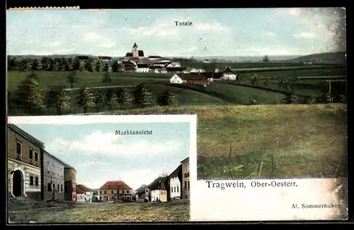AK Tragwein /Ober-Oester., Totale mit Landschaft, Marktansicht