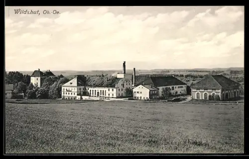 AK St. Pantaleon /Ob. Öst., Wildshut, Ortspanorama mit Fabrikgebäuden und Schornstein