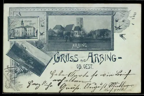 AK Arbing /Ob. Oest., Ortspanorama, Schloss Avhof, Rahmen, Schwalben