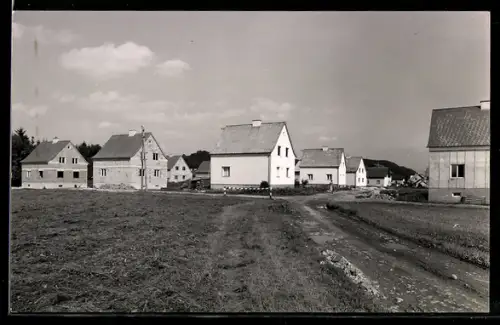 Foto-AK Regau, Schalchham, Siedlung mit Einfamilienhäusern, Feld und unbefestigter Strasse, 1960