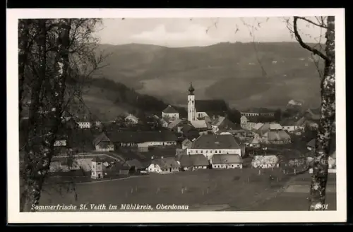 AK St. Veit im Mühlkreis, Ortsansicht mit Kirche