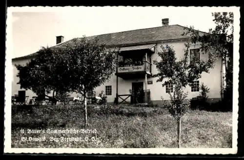 AK St. Oswald, W. Bauers -Betrieb, Gasthaus-Pension