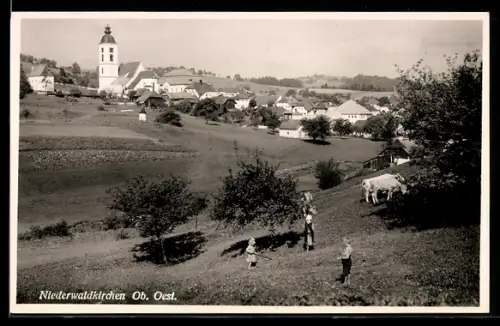 AK Niederwaldkirchen /Ob. Oest., Panorama mit Kirche und Dorf