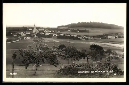 AK Rohrbach im Mühlkreis, Panorama mit Kirche und Obstbäumen