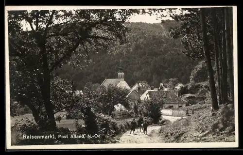 AK Raisenmarkt /N.-Oe., Dorfpartie mit Kirche