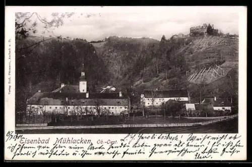 AK Feldkirchen an der Donau, Bad Mühllacken, Panorama mit Kirche und Schloss