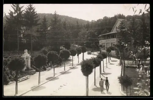 AK Sauerbrunn /Burgenland, Promenade mit Denkmal und Gebäude