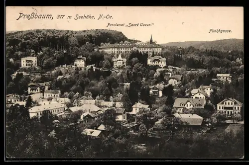 AK Pressbaum /N.-Ö., Pensionat `Sacré Coeur`, Fünfhausgasse