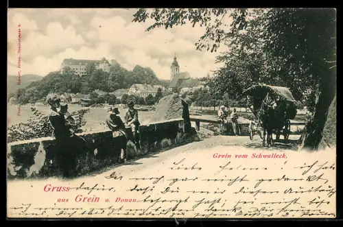 AK Grein a. Donau, Blick vom Schwaldeck, Donauufer mit Schloss und Ort