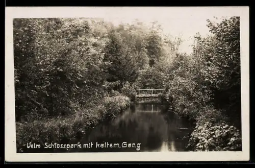 AK Himberg /N.-Oe., Velm, Schlosspark mit kaltem Gang