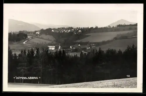 AK Scheiblingkirchen-Thernberg, Witzelsberg, Panorama mit Dorf, Feldern und Wald