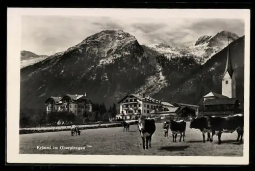 AK Krimml im Oberpinzgau, Bergpanorama mit Kühen, Kirche und Häusern