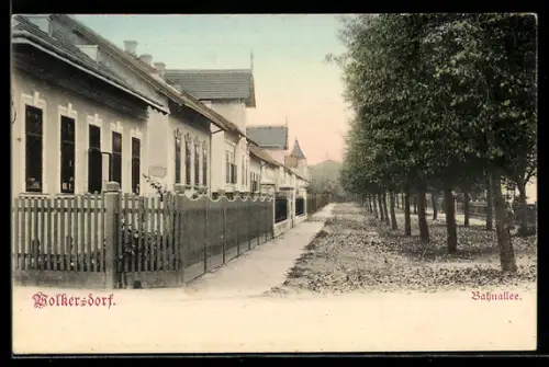 AK Wolkersdorf im Weinviertel, Strassenpartie in der Bahnallee