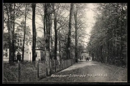 AK Hannover-Eilenriede, Allee Steuerndieb mit Villen