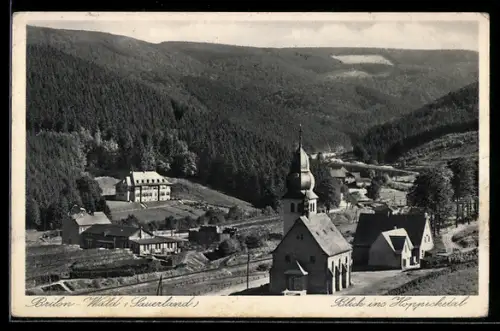 AK Brilon-Wald /Sauerland, Blick ins Hoppecketal, Kirche, Landschaft