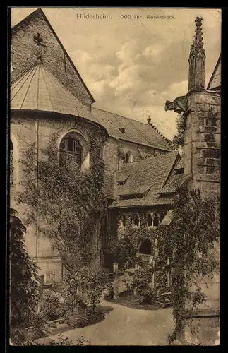 AK Hildesheim, 1000jähriger Rosenstock mit Friedhof & Dom