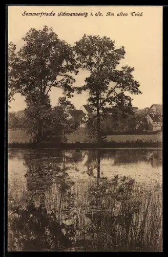 AK Schmannewitz i. Sa., Am alten Teich
