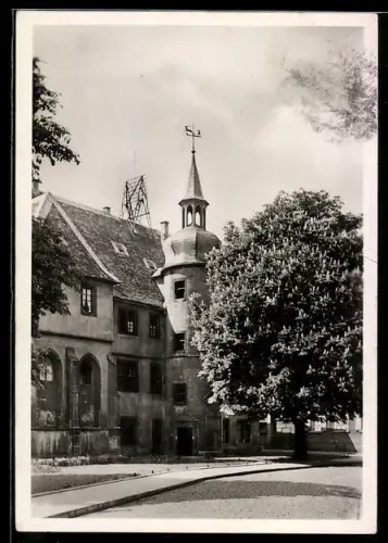 AK Neustadt a. Weinstrasse, Casimirianum mit Strassenpartie