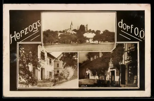 AK Herzogsdorf /O.-Ö., Teilansicht mit Kirchturm, Geschäft und Villa