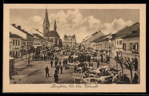 AK Leonfelden /Ob.-Öst., Stände auf dem Viehmarkt