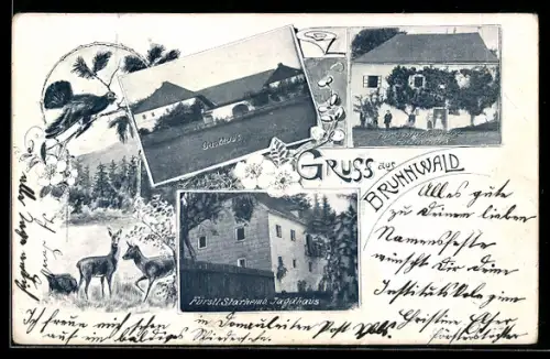 AK Vorderweissenbach, Brunnwald, Gasthaus, Fürstl. Starhemb. Jagdhaus und Forsthaus, Auerhahn und Rehe