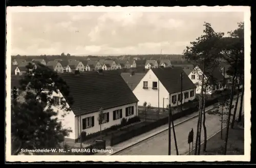 AK Schwarzheide-W. /NL., Blick auf die Brabag-Siedlung