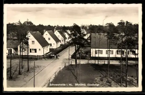 AK Schwarzheide-W. /NL., Blick auf die Brabag-Siedlung