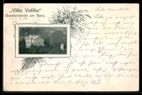 AK Gandersheim am Harz, Hotel Villa Valida, Blumen-Passepartout