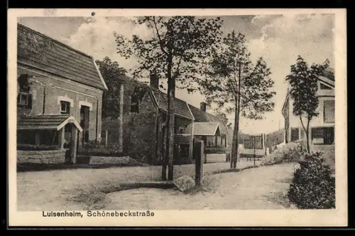 AK Luisenheim, Schönebeckstrasse mit Wohnhäusern