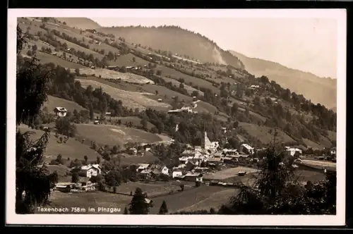 AK Taxenbach im Pinzgau, Gesamtansicht im Bergidyll