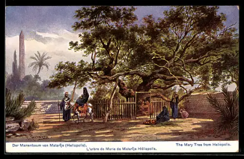 Künstler-AK F.Perlberg: der Marienbaum von Matarije, the mary tree from Heliopolis, l'arbre de Marie de Matarije