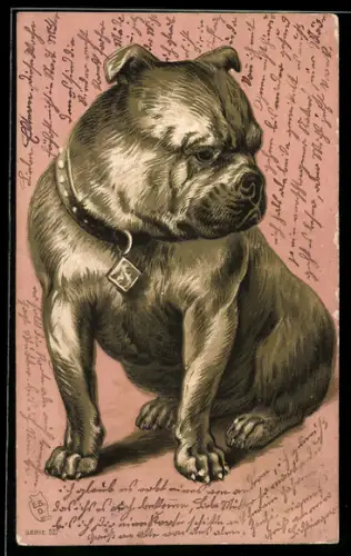AK Sitzende Bulldogge