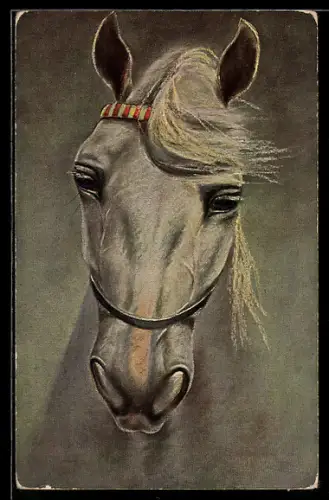 AK Schimmel mit gestreiften Haarband