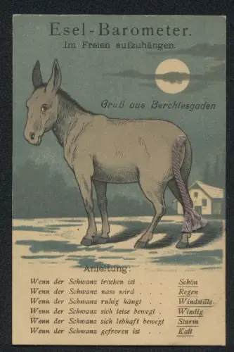 AK Berchtesgaden, Esel-Barometer zur Festellung der aktuellen Wetterlage, Esel mit Textil-Schwanz