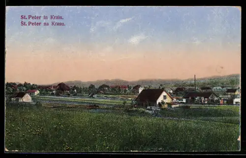 AK St. Peter in Krain, Ortsansicht von der Feldflur aus