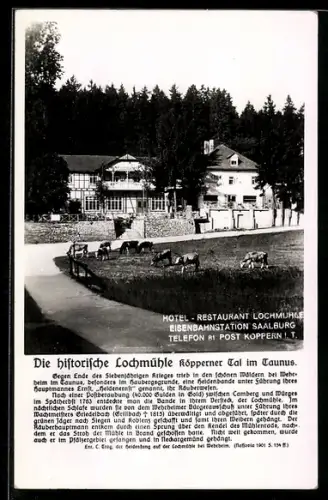 AK Wehrheim, Hotel Restaurant Lochmühle, Eisenbahnstation Saalburg