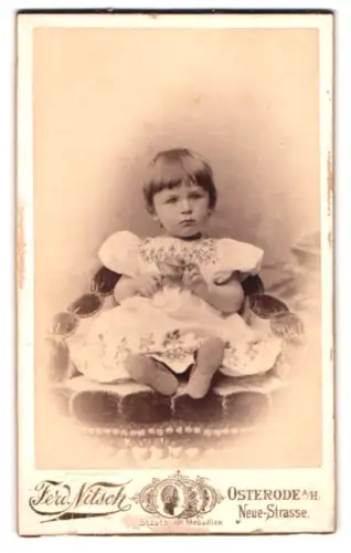 Fotografie Ferd. Nitsch, Osterode a. H., Neue-Strasse, Porträt eines kleinen Kindes